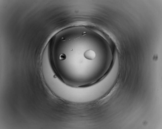 X0000103321473200809051135
