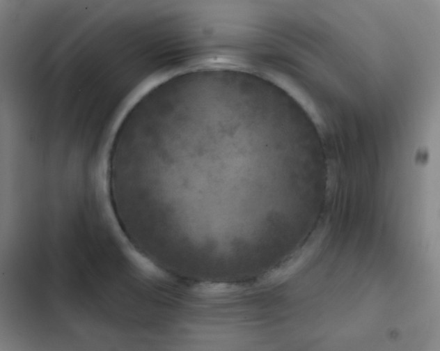X0000103321474200809051135