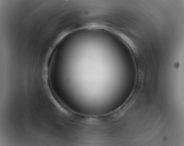 X0000103321476200809051135