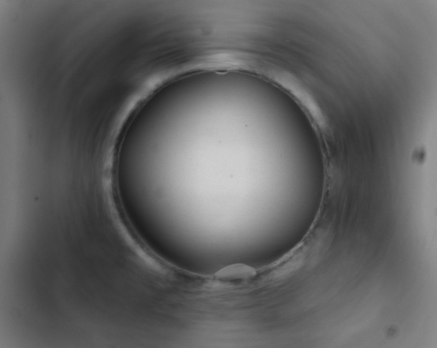 X0000103321477200809051135
