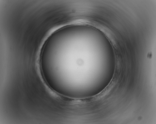 X0000103321478200809051135