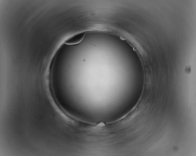 X0000103321479200809051135