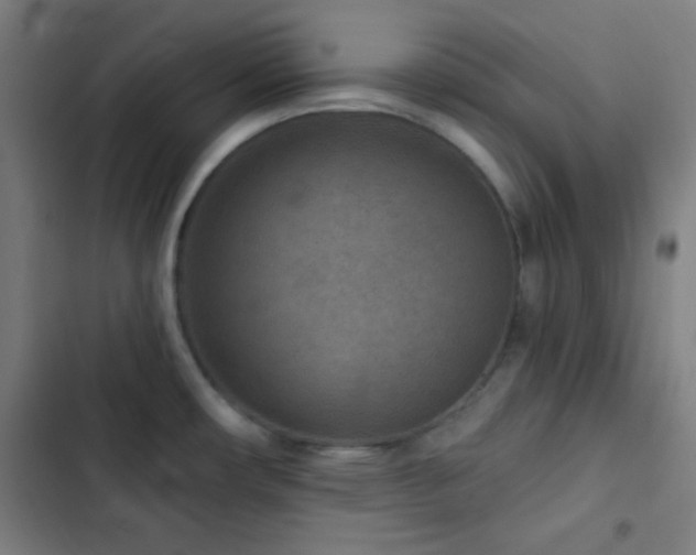 X0000103321482200809051135