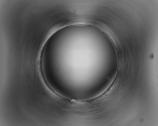 X0000103321483200809051135