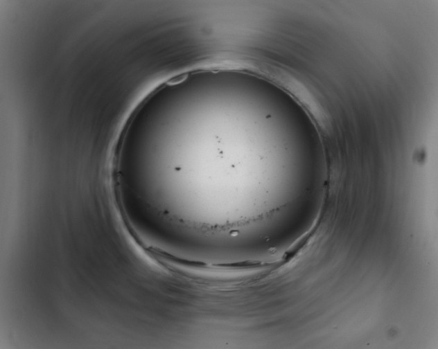X0000103321484200809051135