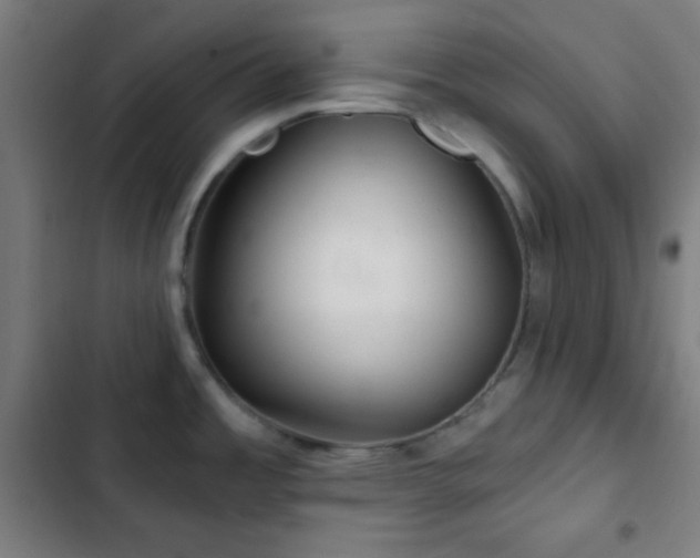 X0000103321485200809051135