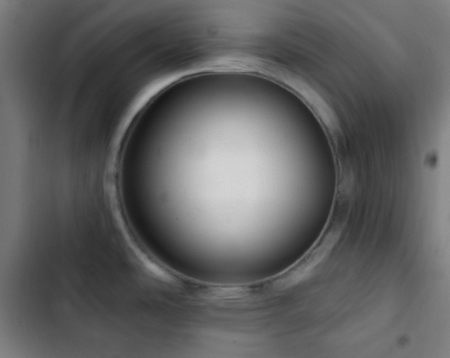 X0000103321486200809051135