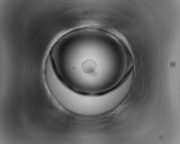 X0000103321488200809051135