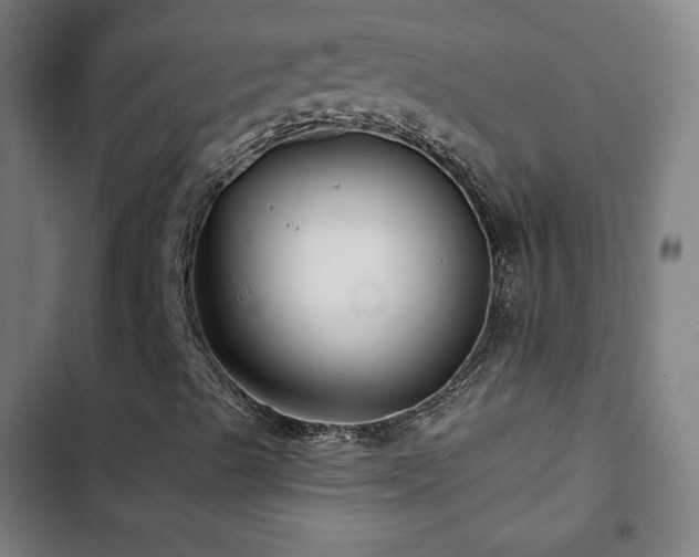 X0000103321489200809051134