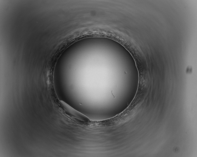 X0000103321490200809051134