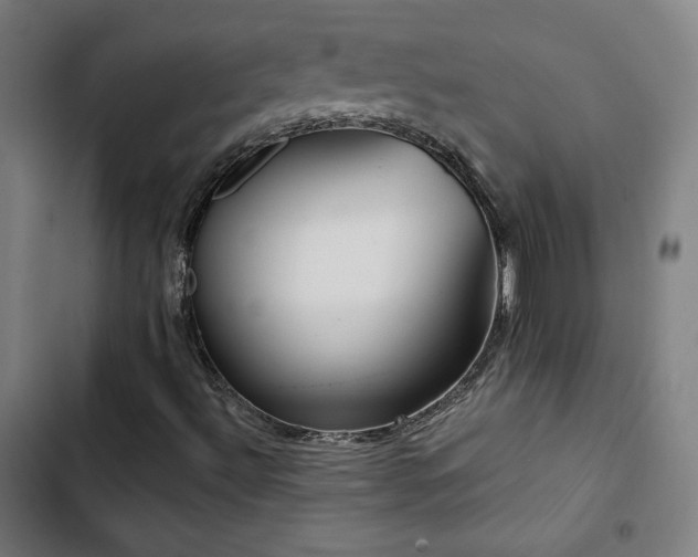 X0000103321492200809051134