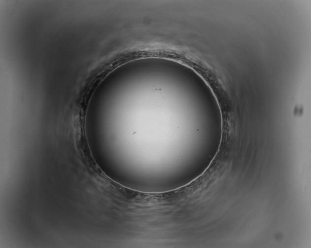 X0000103321493200809051134