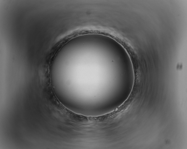 X0000103321494200809051134