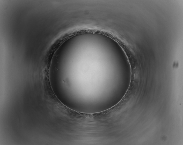 X0000103321495200809051134