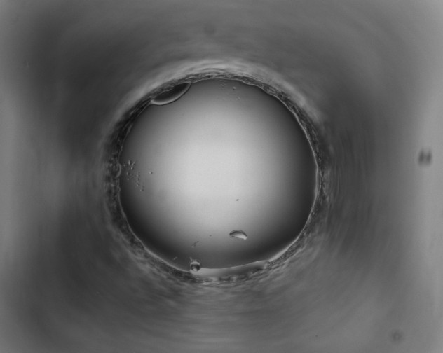 X0000103321496200809051134