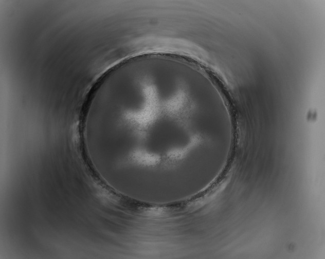 X0000103321497200809051134