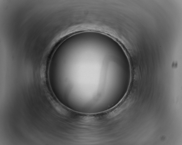 X0000103321499200809051134