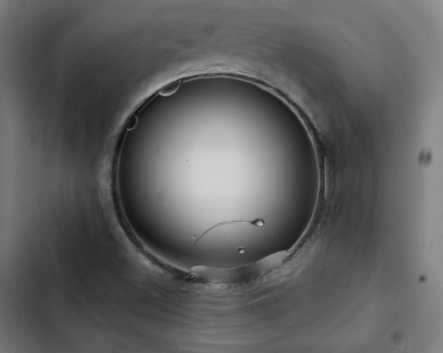 X0000103321500200809051134