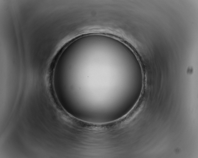 X0000103321501200809051134