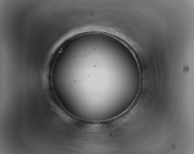 X0000103321502200809051134