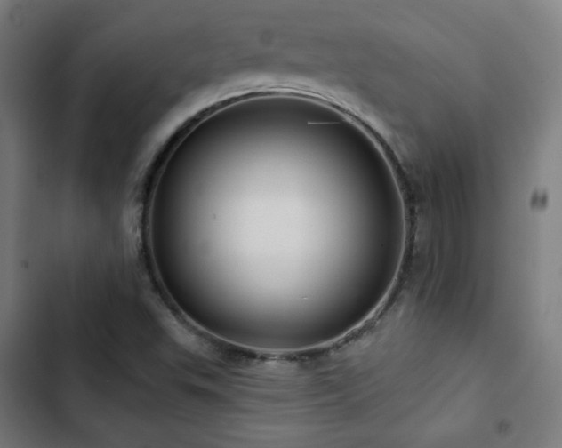 X0000103321503200809051134