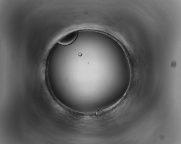 X0000103321504200809051134