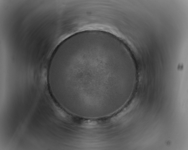 X0000103321505200809051135