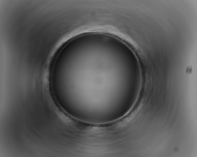 X0000103321506200809051135