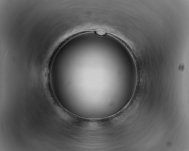 X0000103321507200809051135
