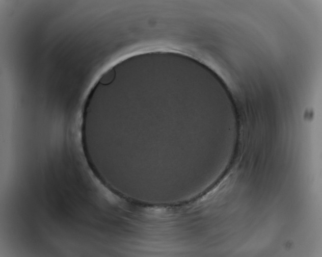 X0000103321508200809051135