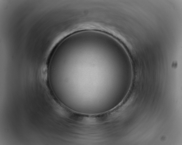 X0000103321509200809051135