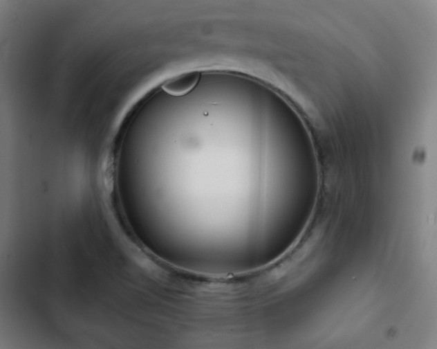 X0000103321510200809051135