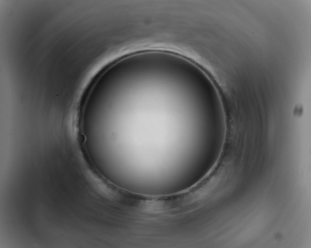 X0000103321511200809051135