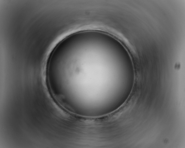 X0000103321512200809051135
