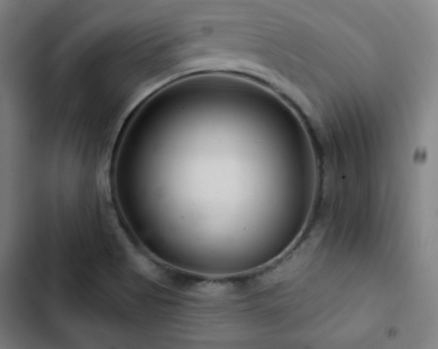 X0000103321513200809051135