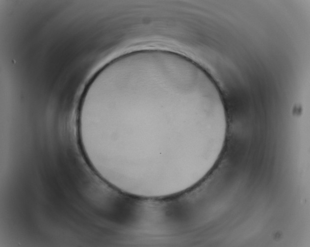 X0000103321514200809051135