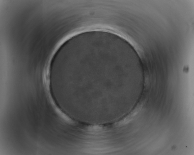 X0000103321515200809051135
