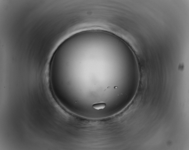 X0000103321516200809051135