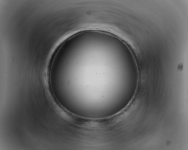 X0000103321517200809051135