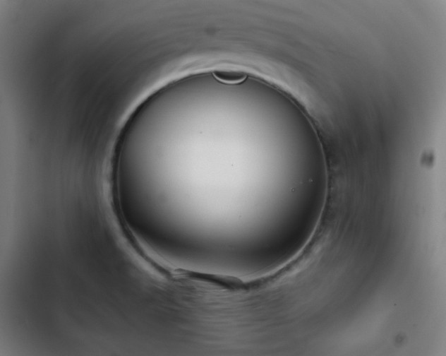 X0000103321518200809051135