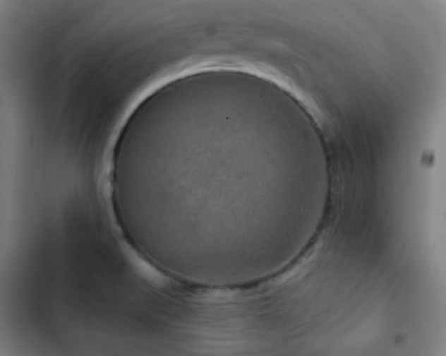 X0000103321519200809051135