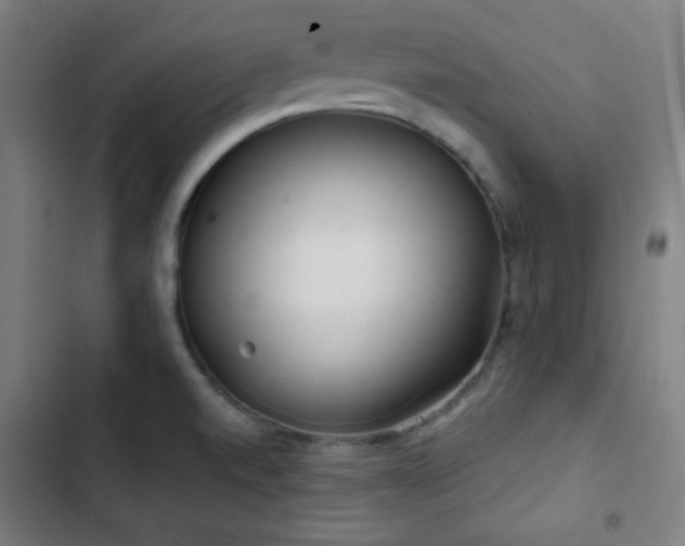 X0000103321520200809051135