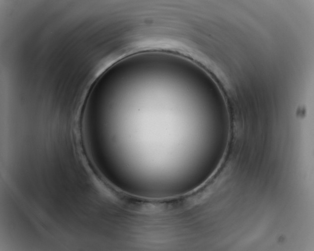 X0000103321521200809051135
