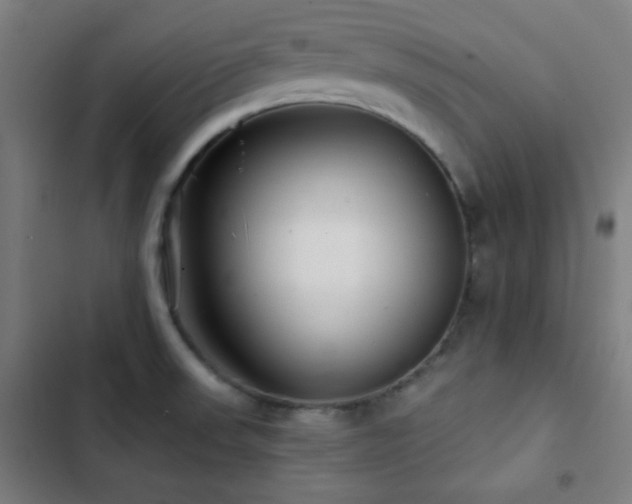 X0000103321523200809051135