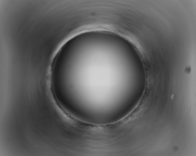 X0000103321524200809051135