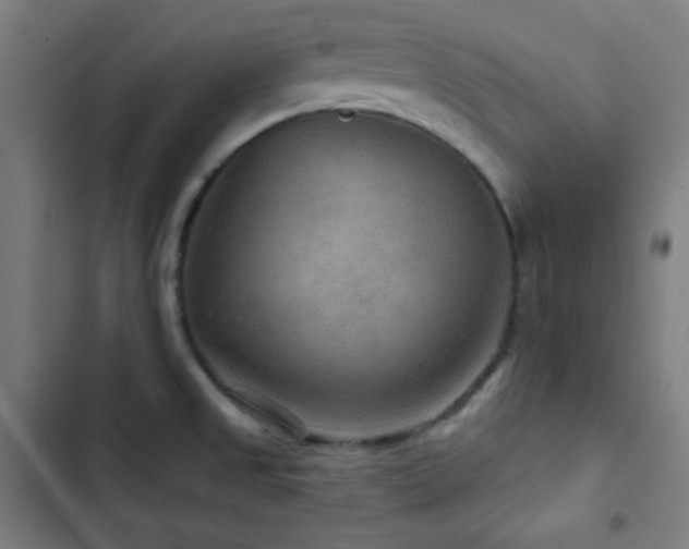 X0000103321525200809051135