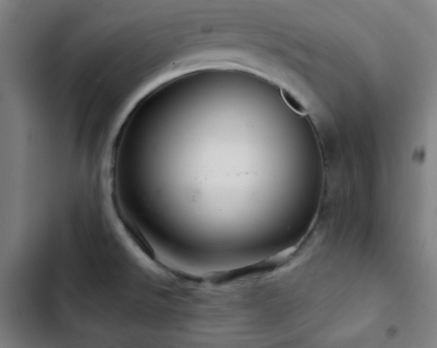 X0000103321526200809051135