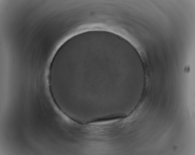 X0000103321527200809051135