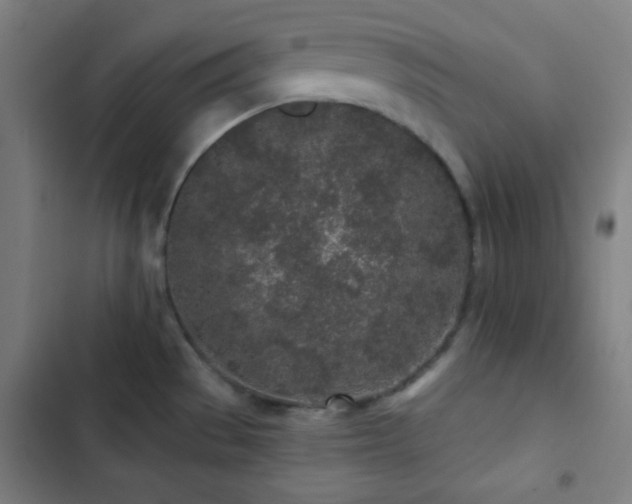 X0000103321529200809051135