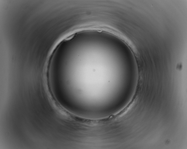 X0000103321530200809051135